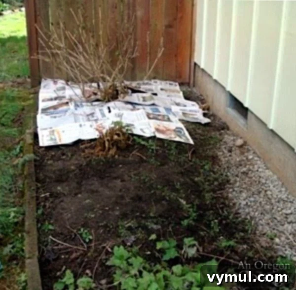 Laying Newspaper Layer in Flower Bed