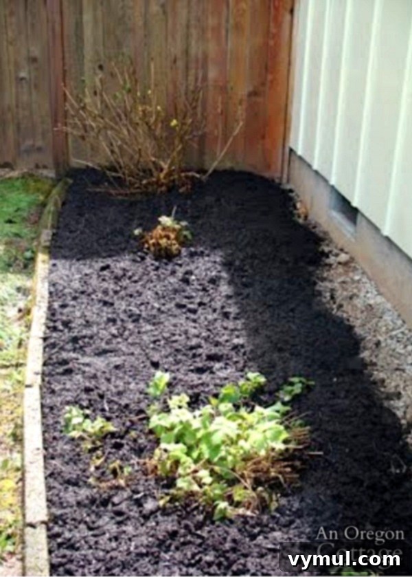 Mulched Flower Bed Early Spring