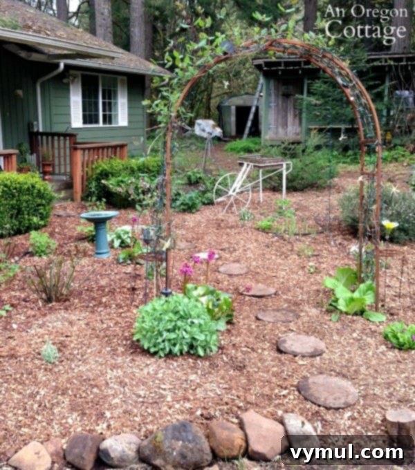 weed free garden mulched with paper and wood chips