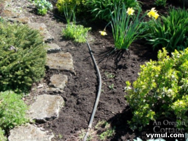 partially papered and mulched flower bed