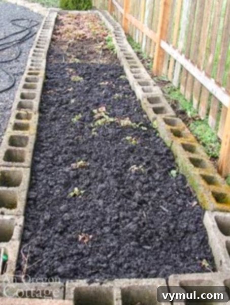 Strawberry bed after comprehensive spring cleanup