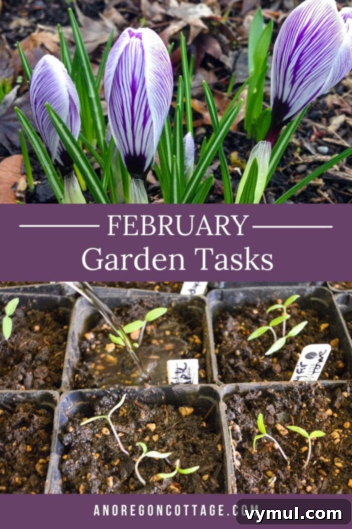 February Garden Essentials: PNW and Beyond 6 Overview of a winter garden with a clear blue sky, illustrating February garden tasks and preparations.