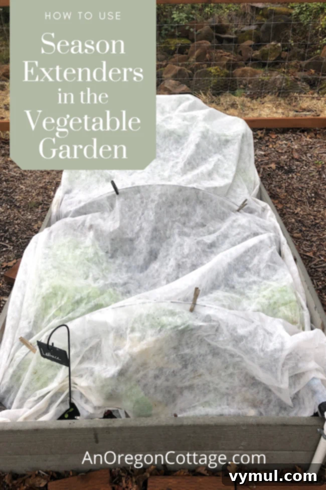 Beyond Summer: Season Extension for Bigger Longer Harvests 2 Garden season extenders in use, featuring a tomato plant covered by a Wall-O-Water and a row of brassicas under a floating row cover, extending the growing season and protecting plants.