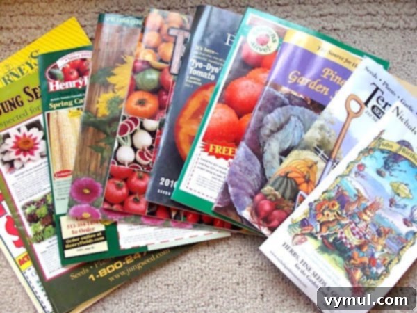 lots of garden catalogs