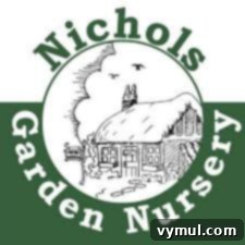 Nichols Logo