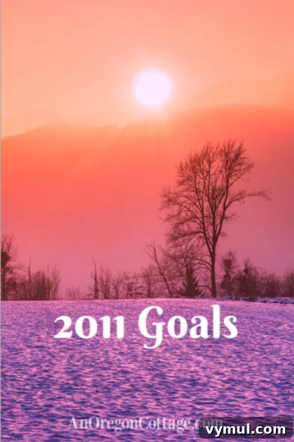 Our Vision for 2011 2 2011 Goals