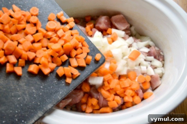 Hearty Slow-Cooked Pork and Vegetable Stew 3 Slow Cooker Pork Stew Ingredients