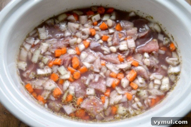 Hearty Slow-Cooked Pork and Vegetable Stew 4 Slow Cooker Pork Stew ready to cook