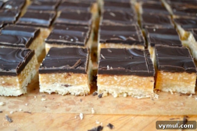 Decadent Caramel Coconut Shortbread Bars 3 Close-up of Caramel Coconut Shortbread Cookie Bars, highlighting their golden brown shortbread and rich caramel topping