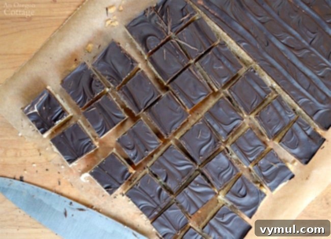 Decadent Caramel Coconut Shortbread Bars 6 Close-up of Caramel Coconut Shortbread Cookie Bars, neatly cut into squares to reveal the distinct layers