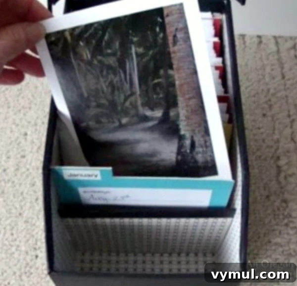 Greeting Card Organizer included cards