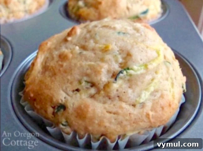 Spiced Zucchini Freezer Muffins 3 Close-up of a freshly baked zucchini cinnamon muffin, showing its fluffy texture and cinnamon sugar topping.