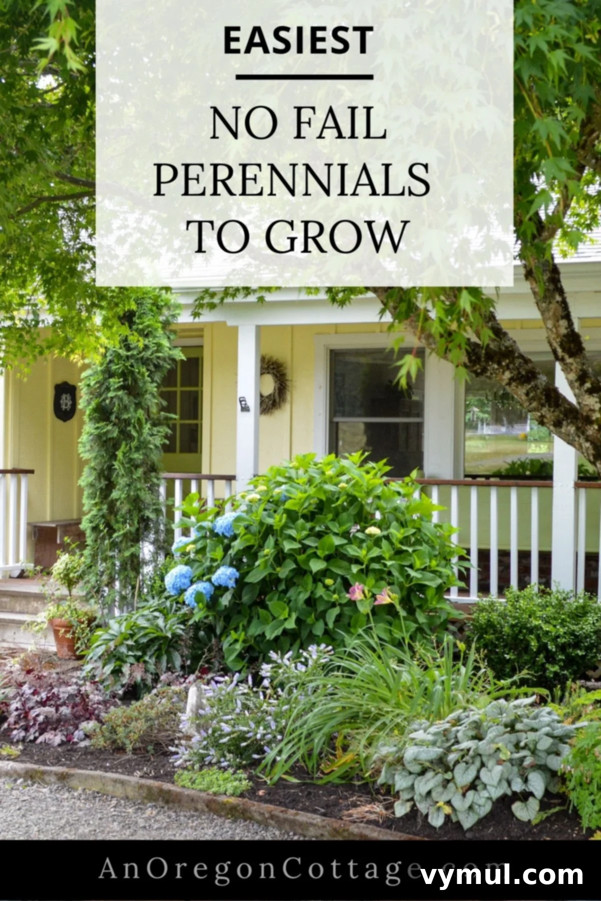 Foolproof Perennials 10 easy perennials to grow in front garden