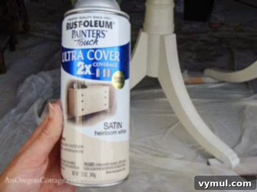 spray paint used for dining table: Cans of spray paint for furniture, ready to be used to paint the dining table base.