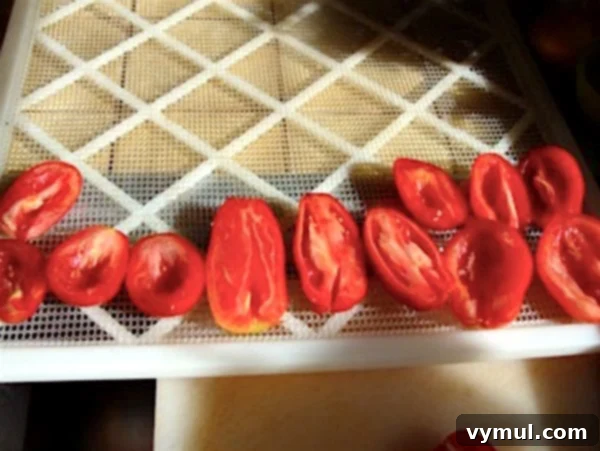 Drying Tomatoes on dehydrator tray