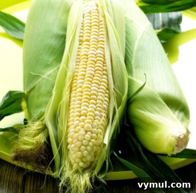 Mastering Corn: From Seed to Supper and Beyond 4 Corn varieties