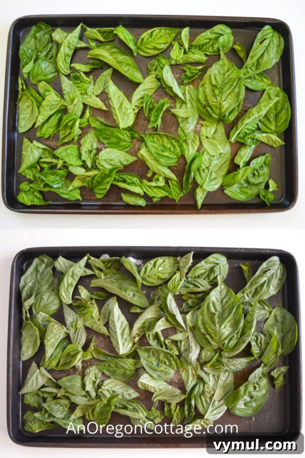 best way to freeze basil_featured