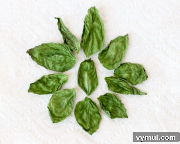 dry-fresh-basil-tutorial-at-thefrugalgirls-com