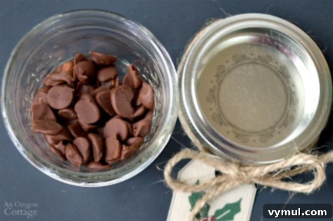 Build Your Own Sundae Gift Basket with Free Tags 10 Ice Cream Sundae Kit-homemade mocha chips