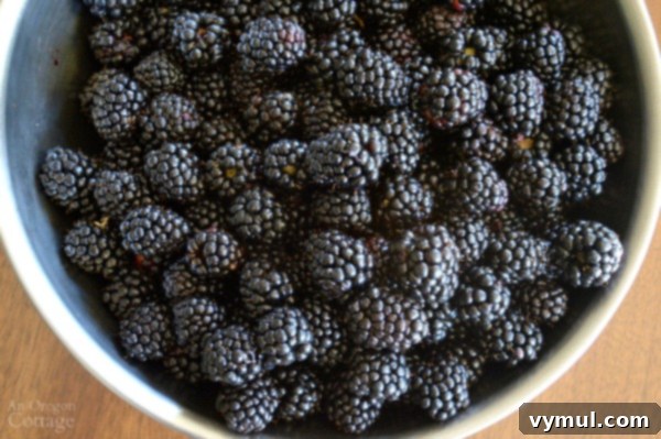 Bowl of Triple Crown Thornless Blackberries