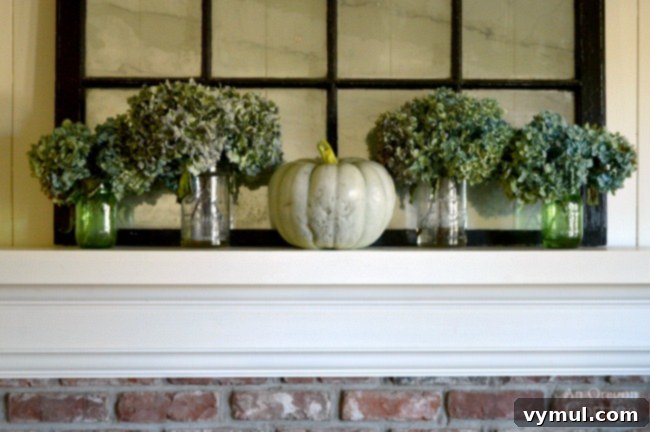 Autumnal Simplicity in Green and White 5 A charming Fall Decor display featuring an antique Jarrahdale pumpkin alongside dried hydrangeas on a mantel, exuding rustic elegance.