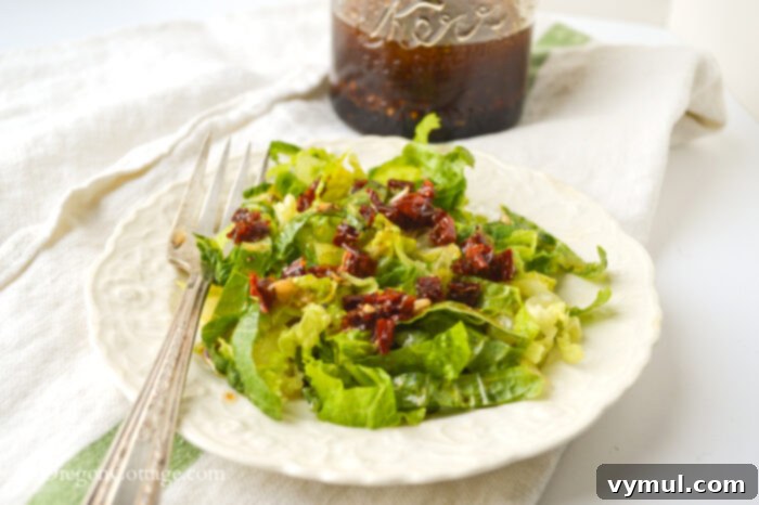 5-Minute, 5-Ingredient Sun-Dried Tomato Vinaigrette 6 dried tomato vinaigrette salad close