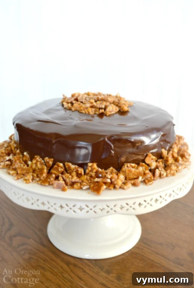 A glorious Peanut Butter-Chocolate Celebration Cake, perfectly decorated with peanut brittle, ideal for any occasion.