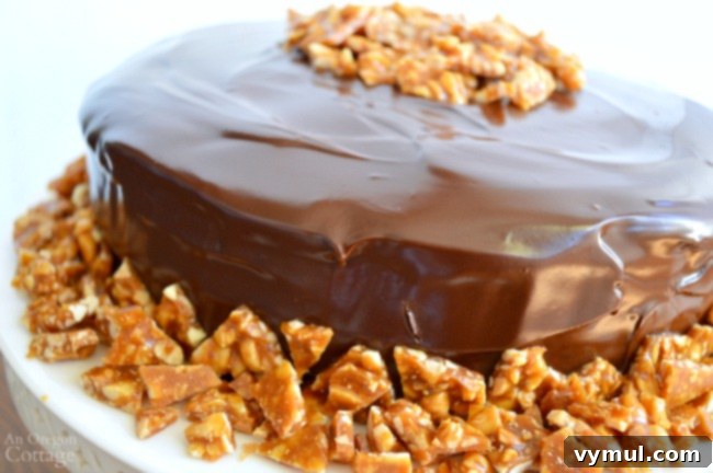 A close-up of the Peanut Butter Chocolate Celebration Cake, showcasing its delicious layers and brittle topping.