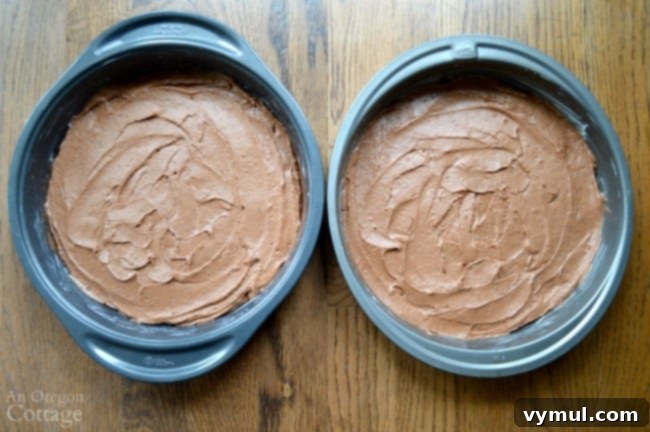 Thick, rich chocolate cake batter for a peanut butter-chocolate celebration cake, ready for baking.