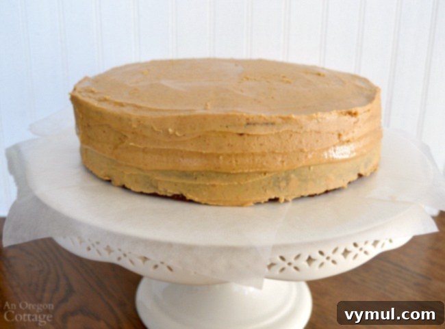The second chocolate cake layer placed atop the peanut butter frosting, ready for the remaining frosting to be applied to the sides and top.