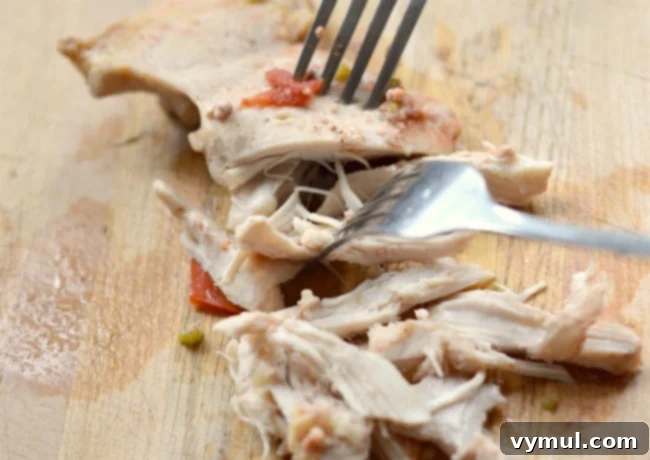 Ultimate Chicken Chili Slow Cooker and Stovetop Recipe 5 Slow Cooker Chicken Chili being prepared, with cooked chicken being shredded with two forks directly in the crockpot.