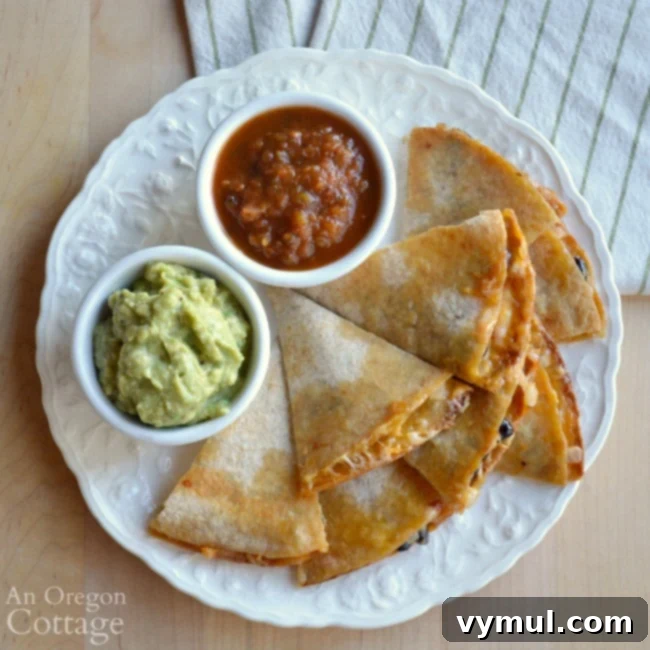 Black Bean Quesadilla Magic 6 Platter of warm black bean quesadilla triangles, garnished with fresh cilantro, ready to be served.