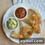 Black Bean Quesadilla Magic 7 Black Bean Quesadillas on plate above