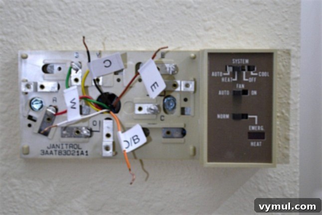 Labeling and carefully disconnecting individual wires from the old thermostat's backplate