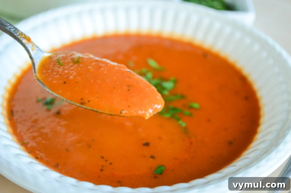 Homemade Tomato Soup Perfection: Say Goodbye To Canned Forever 7 A spoon lifting a scoop of smooth, rich homemade tomato soup, highlighting its perfect consistency.