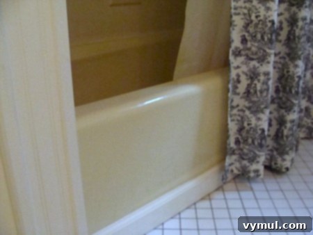 Master Bathroom Remodel Episode Six 6 Main Bath Remodel - Tub_An Oregon Cottage