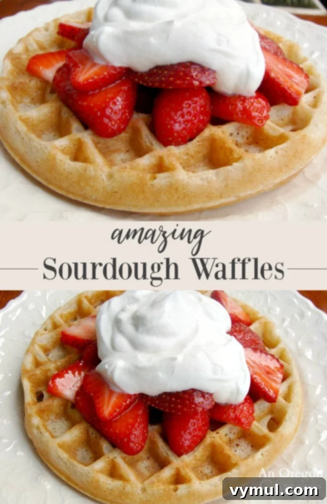 Irresistible Whole Wheat Sourdough Waffles 2 Belgian Style Sourdough Waffles with strawberries and whipped cream