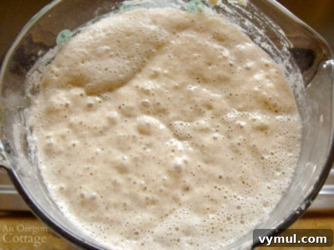 Irresistible Whole Wheat Sourdough Waffles 3 Sourdough Waffle batter in bowl