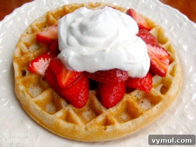 Irresistible Whole Wheat Sourdough Waffles 4 Sourdough Waffles with strawberries and whipped cream