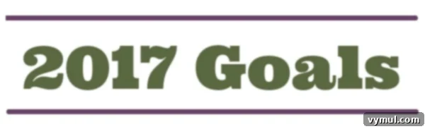 Setting 2017 Intentions Goals My Guiding Word and 2016 Reflections 3 Goals for 2017