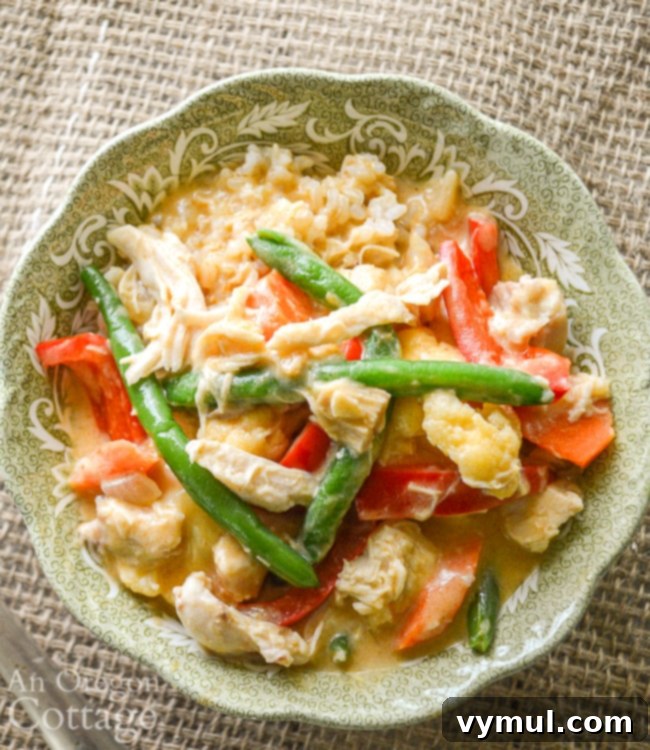 chicken vegetable curry above