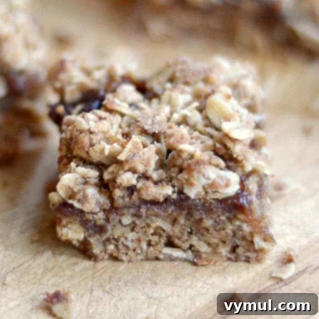 Rustic Apple Butter Oat Bars 3 Healthy Whole Grain Apple Butter Bars
