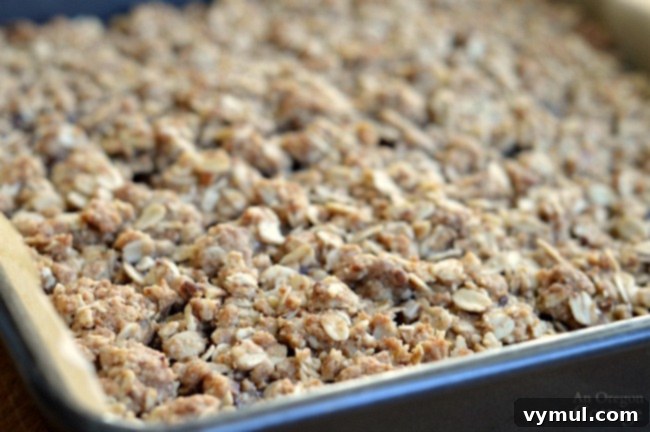 Rustic Apple Butter Oat Bars 5 Baked Whole Grain Apple Butter Bars