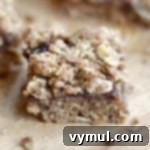 Rustic Apple Butter Oat Bars 8 Healthy Whole Grain Apple Butter Bars