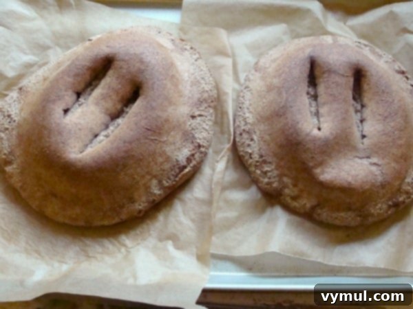 Sourdough artisan bread fail