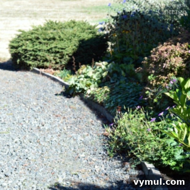Simple, Budget-Friendly Concrete Edging for Your Garden Beds and Paths 13 Cement Garden Edging-gentle curve