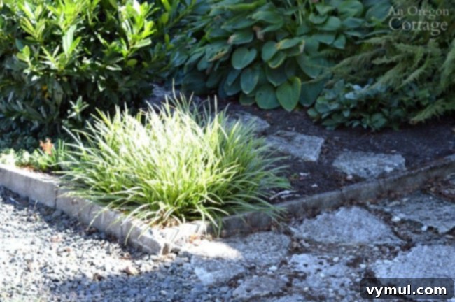 Simple, Budget-Friendly Concrete Edging for Your Garden Beds and Paths 5 Cement Garden Edging installed at walkway