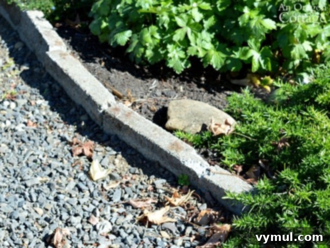 Simple, Budget-Friendly Concrete Edging for Your Garden Beds and Paths 7 Cement Garden Edging-using broken pieces for curves
