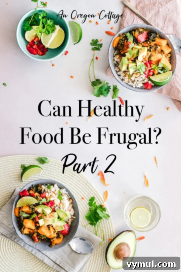 Healthy Eating on a Budget The Sequel 2 Can Healthy Food be Frugal? Part 2