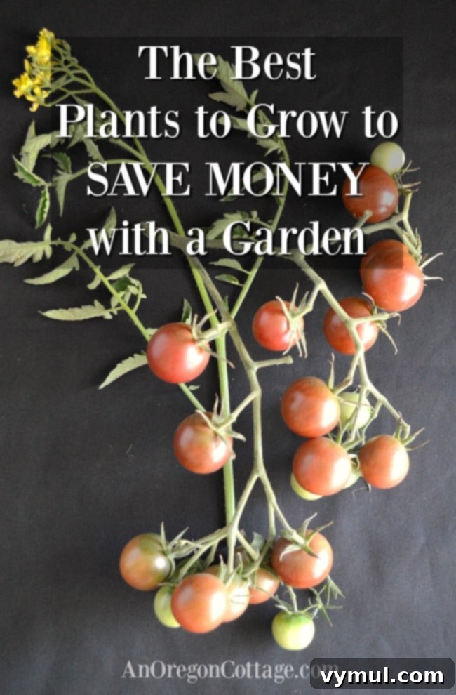 Budget Gardening 10 Plants That Pay You Back 2 best plants to grow to save money